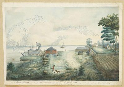 View of Fort Erie with Migration of Wild Pigeons