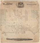 Topographical plan of the city and liberties of Toronto in the province of Canada. Surveyed, drawn and published by James Cane, Tophl. Engr.
