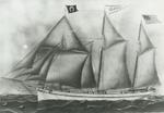 CLARA (1874, Schooner)